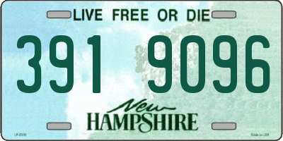 NH license plate 3919096
