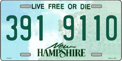 NH license plate 3919110