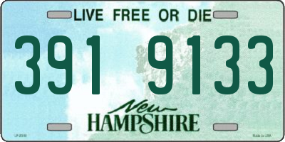 NH license plate 3919133