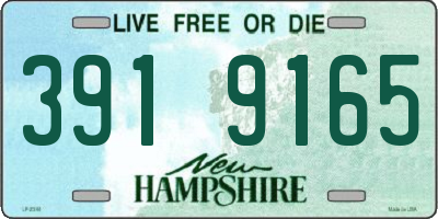 NH license plate 3919165