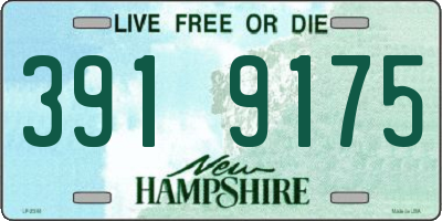 NH license plate 3919175