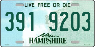 NH license plate 3919203