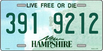 NH license plate 3919212