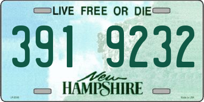 NH license plate 3919232