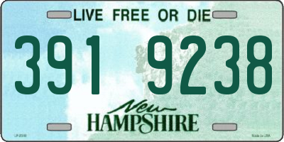 NH license plate 3919238