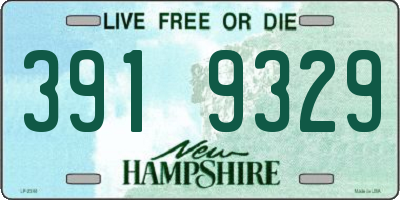 NH license plate 3919329