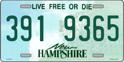 NH license plate 3919365