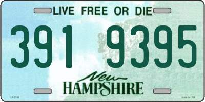 NH license plate 3919395