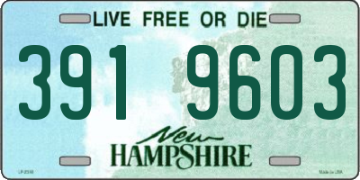 NH license plate 3919603