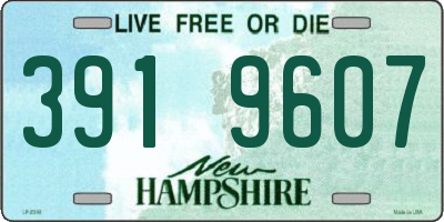 NH license plate 3919607
