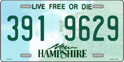 NH license plate 3919629