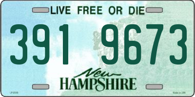 NH license plate 3919673