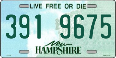 NH license plate 3919675