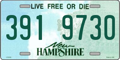 NH license plate 3919730