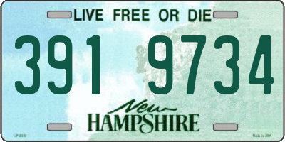 NH license plate 3919734