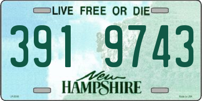 NH license plate 3919743