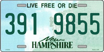 NH license plate 3919855
