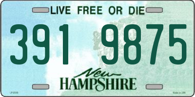 NH license plate 3919875