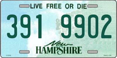 NH license plate 3919902
