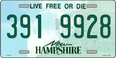 NH license plate 3919928