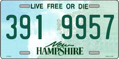 NH license plate 3919957