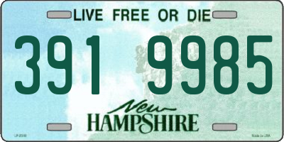 NH license plate 3919985