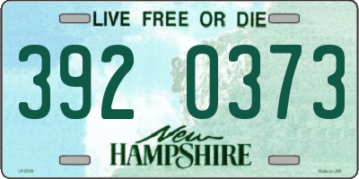 NH license plate 3920373