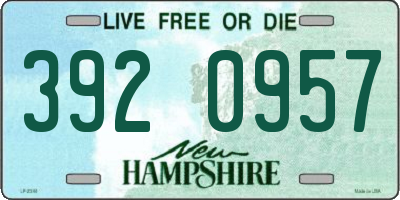 NH license plate 3920957