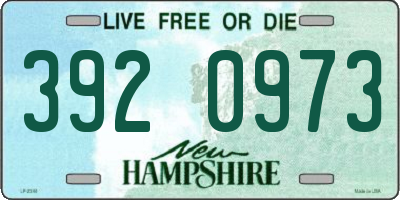 NH license plate 3920973