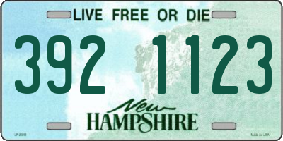 NH license plate 3921123
