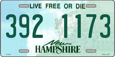 NH license plate 3921173