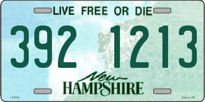 NH license plate 3921213