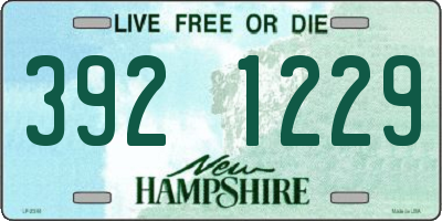 NH license plate 3921229