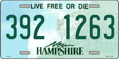 NH license plate 3921263