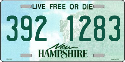 NH license plate 3921283
