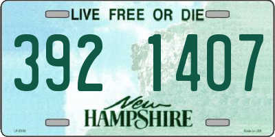 NH license plate 3921407