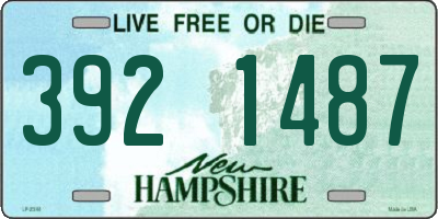 NH license plate 3921487