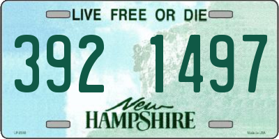 NH license plate 3921497