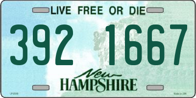 NH license plate 3921667