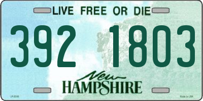 NH license plate 3921803