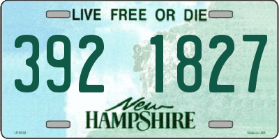 NH license plate 3921827