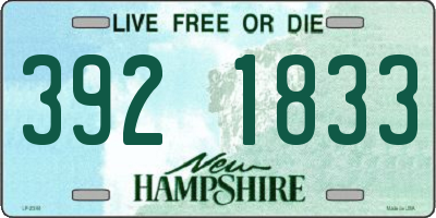 NH license plate 3921833