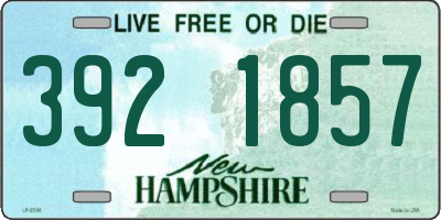 NH license plate 3921857