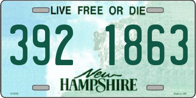 NH license plate 3921863