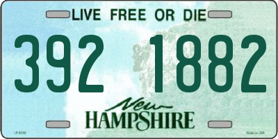 NH license plate 3921882