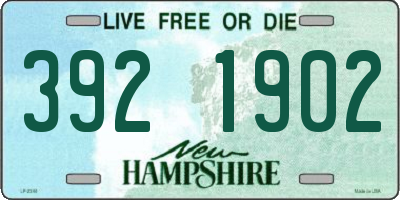 NH license plate 3921902