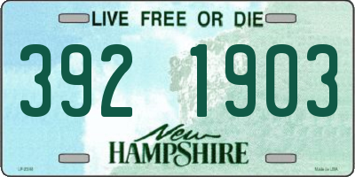 NH license plate 3921903