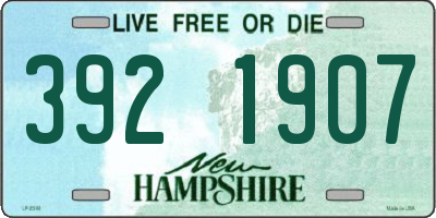 NH license plate 3921907
