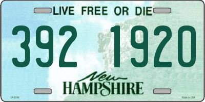 NH license plate 3921920