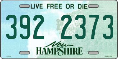 NH license plate 3922373